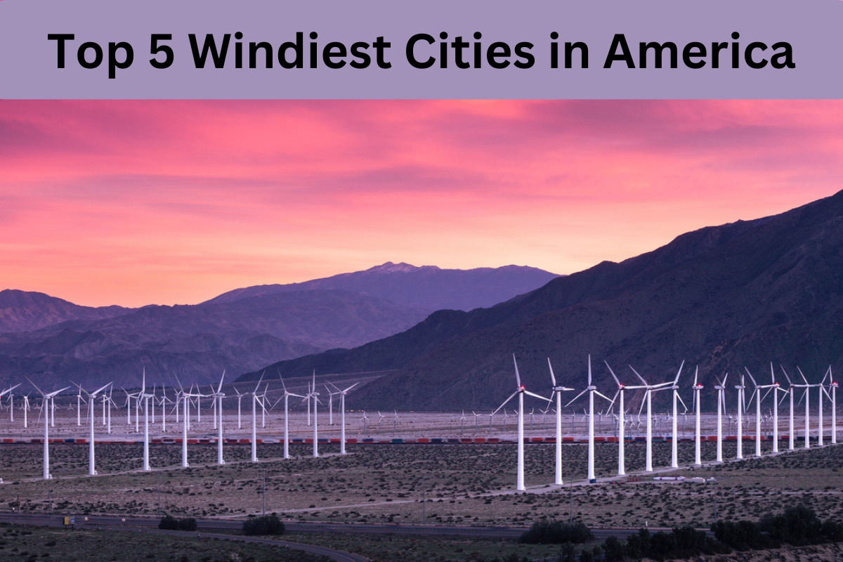 Top 5 Windiest Cities in America